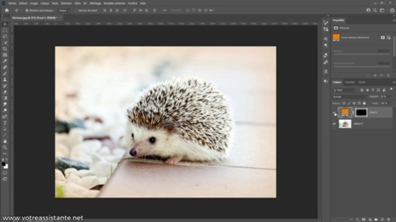 Comment créer un effet vignettage sur Photoshop ?