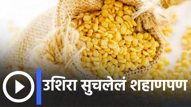 Moong Import वरील Restrictions फायद्याचे की धोक्याचे? | Moong Import in India |