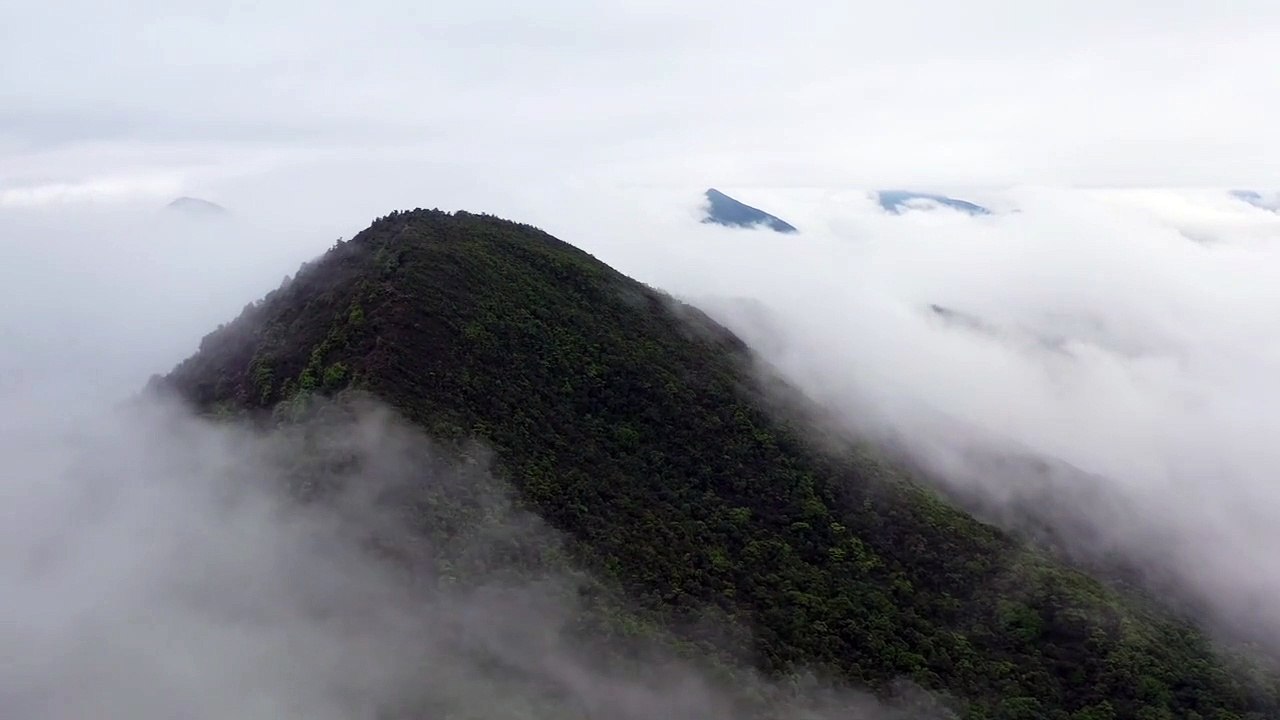 A little peace