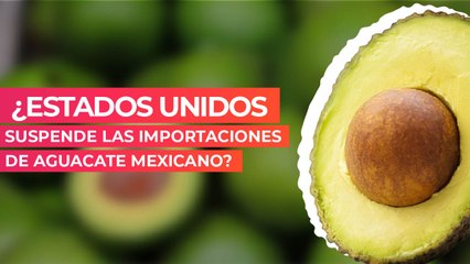 Download Video: ¿Estados Unidos suspende las importaciones de aguacate mexicano?