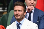 David Beckham introduces his family's new pet rabbit