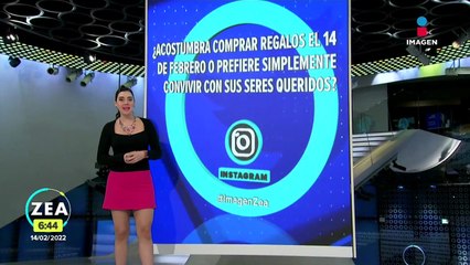 Niña protege a su perro de cohetes