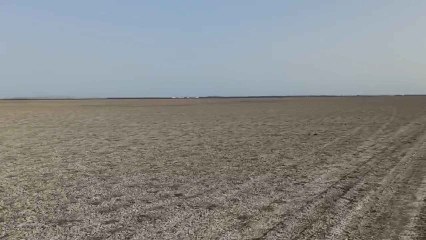 Las Marismillas, en Doñana, secas, a fecha de 29 de enero de 2022