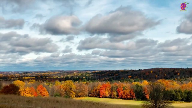 intro-logo-newaudio-15-min-20220115-192850