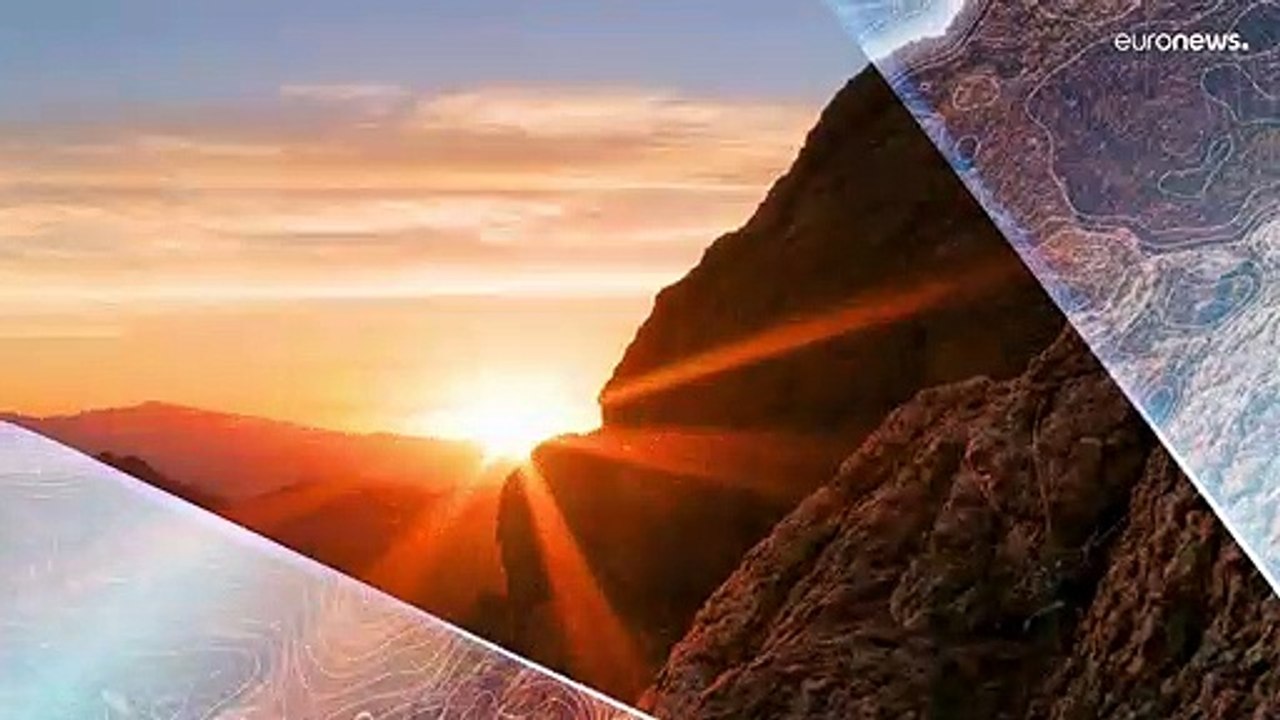 Pântanos capturam carbono 50 vezes mais depressa que as florestas tropicais