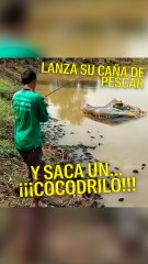 Lanza su caña y pesca… un cocodrilo