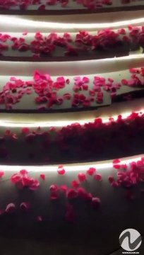 Offset sorprende a Cardi B con flores y carteras Channel por el Día de San Valentín / Offset surprises Cardi B with flowers and Channel bags for Valentine's Day.