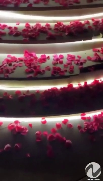 Offset sorprende a Cardi B con  flores y  carteras Channel por el Día de San Valentín /  Offset surprises Cardi B with flowers and Channel bags for Valentine's Day.