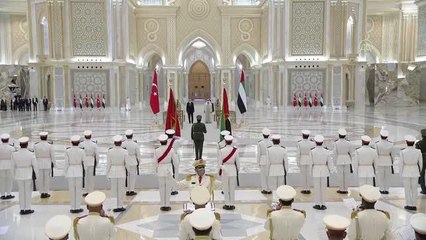 Cumhurbaşkanı Erdoğan, Abu Dabi Veliaht Prensi Bin Zayid tarafından resmi törenle karşılandı (2)