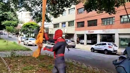Homem-Aranha é flagrado fazendo acrobacias em árvore da Savassi