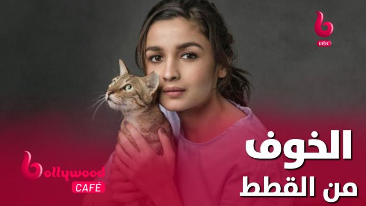 الحلقة 64 | بوليوود كافيه..نجمات تخافن من القطط...