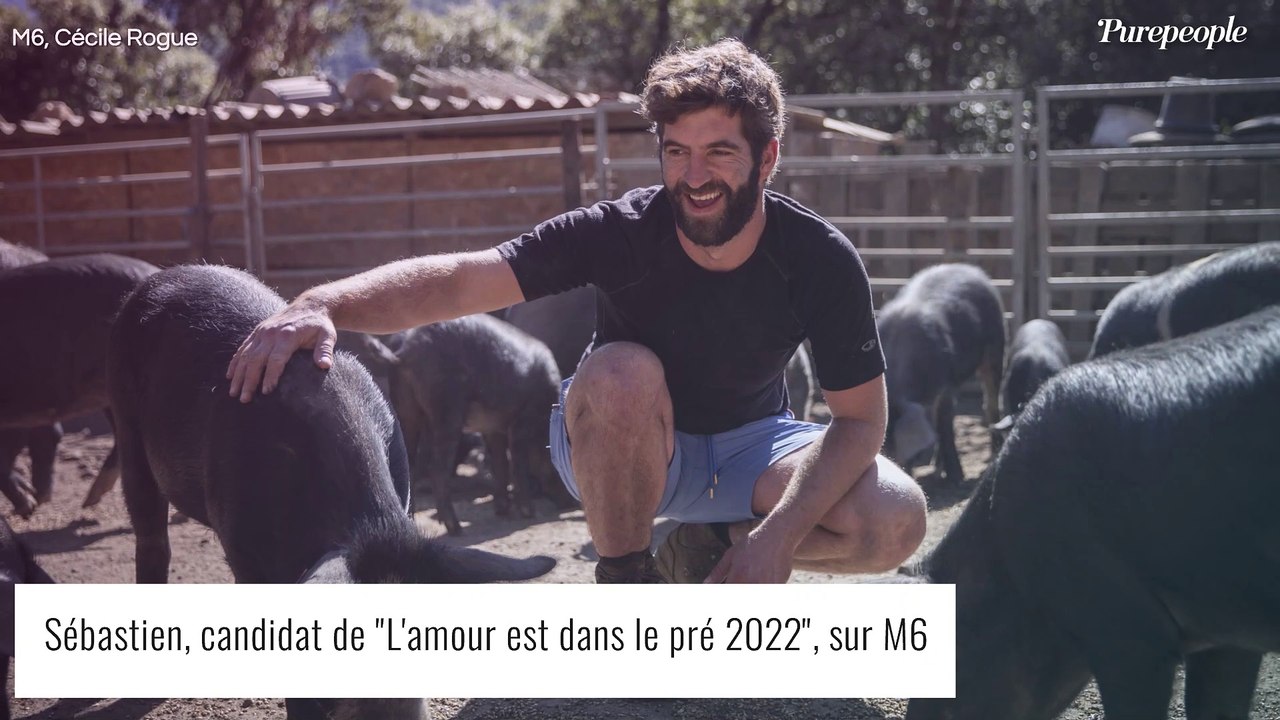 Sebastien L Amour Est Dans Le Pre Dans Une Relation Toxique Il Evoque Sa Rupture Douloureuse Video Dailymotion