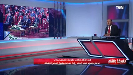 الديهي: مفوضة بالاتحاد الإفريقي استطاعت وضع يدها على المشكلة في إفريقيا وتقديم النموذج الناجح المصري