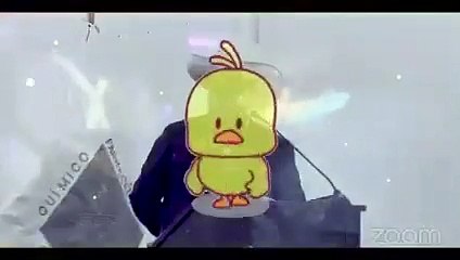 EL HIT DEL FIN DE SEMANA | TEMA: EL POLLO MUERTO"