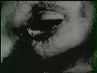 Berurier noir-porcherie clip inedit [keuponteam]