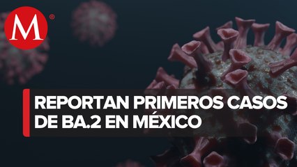 En CdMx, Jalisco, Veracruz y Quintana Roo ya circula subvariante de ómicron