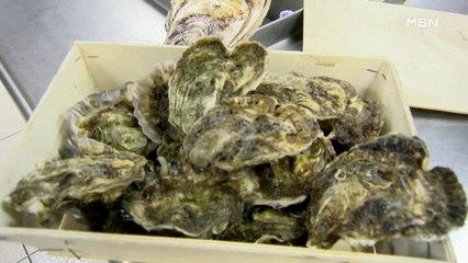 [굿모닝월드 1] 사랑 모양 굴