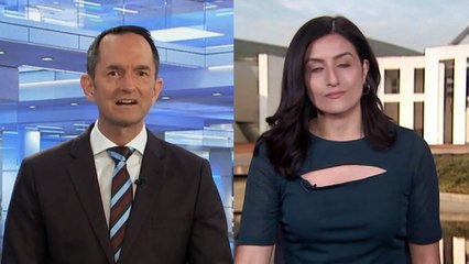 Labor senator alleges political donor behind foiled foreign interference plot