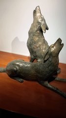 Muséum d'histoire naturelle de Grenoble (61)