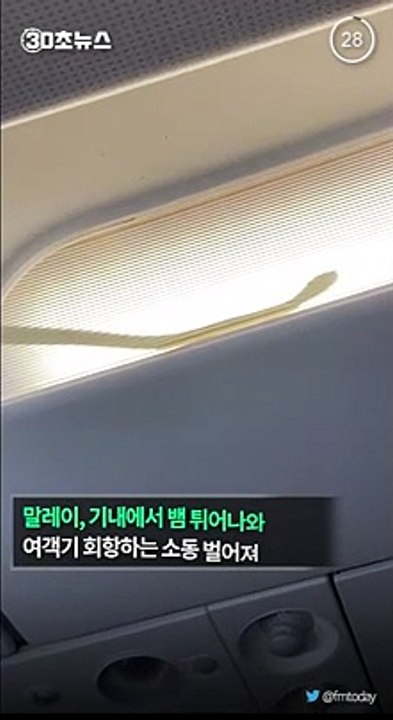 [30초뉴스] '비행기에 뱀이…' 말레이 여객기 비행 중 회항해 비상착륙
