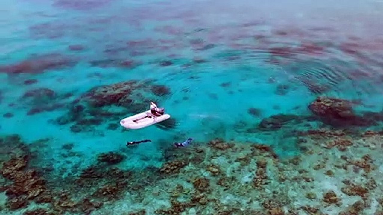 Citizen scientists join project to monitor heal...