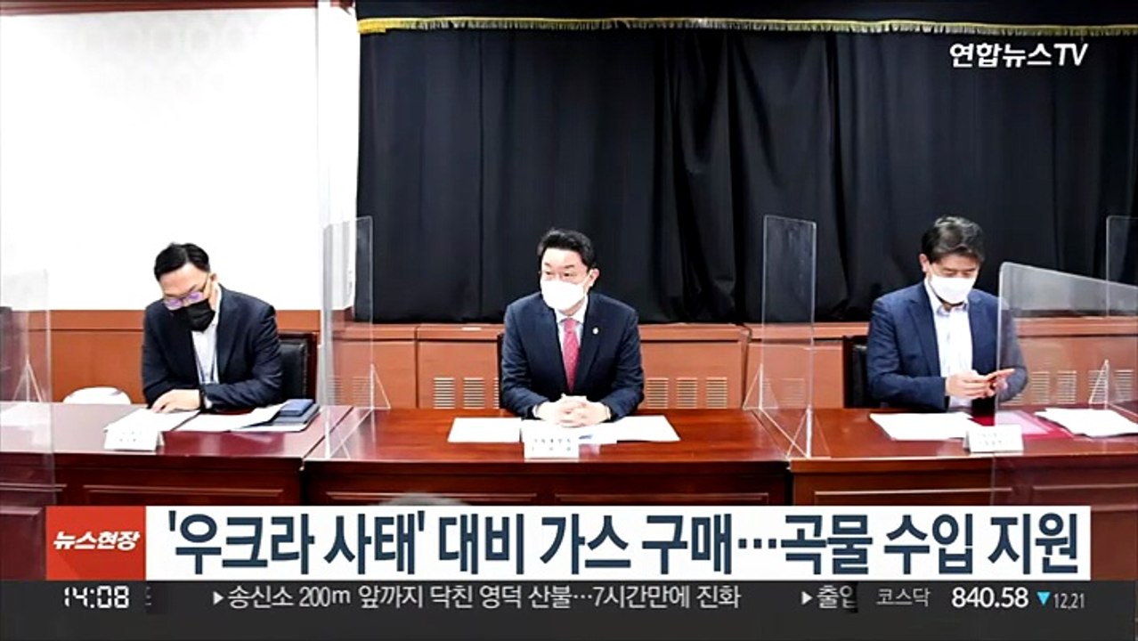 '우크라 사태' 대비 가스 구매…곡물 수입 지원