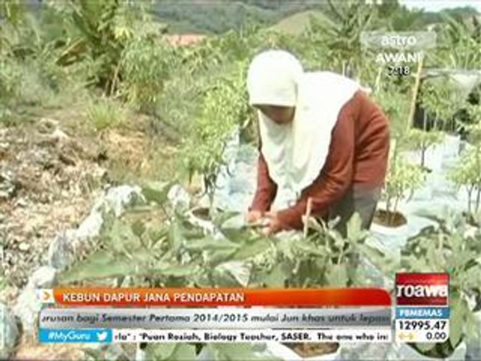 Kebun dapur jana pendapatan