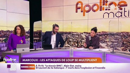 RMC chez vous : Marcoux, les attaques de loup se multiplient - 15/02