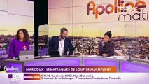 RMC chez vous : Marcoux, les attaques de loup se multiplient - 15/02