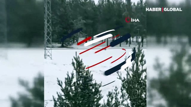 Nesli tükenme tehlikesi altında olan vaşak Ardahan'da Çamlıçatak ormanlık alanında görüntülendi