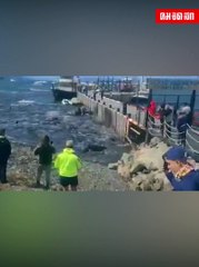 (คลิป) ตะลึง "ฝูงโลมา" หลงทิศ แหวกว่ายเข้าฝั่ง ในอ่าวอูซัวยา อาร์เจนตินา