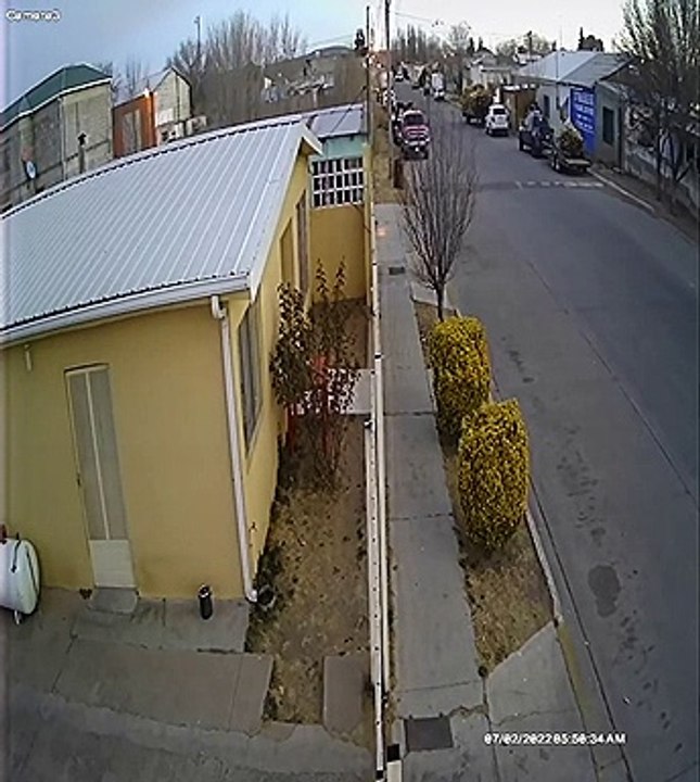 Mexique: Découvrez les images choc d'une nuée d'oiseaux qui est «tombée du ciel» soudainement en plein vol et qui s'est s'écrasée de manière inexpliquée au sol