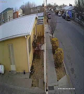 Mexique: Découvrez les images choc d'une nuée d'oiseaux qui est «tombée du ciel» soudainement en plein vol et qui s'est s'écrasée de manière inexpliquée au sol