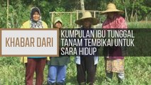Khabar Dari Kelantan: Kumpulan ibu tunggal tanam tembikai untuk sara hidup
