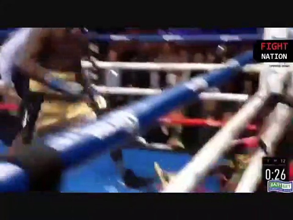 Deontay Wilder Vs Bermane Stiverne II Highlights
