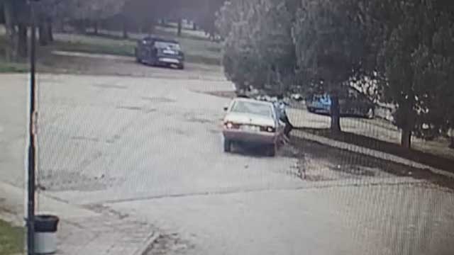 Korkunç olay! Otomobili antrenörün üzerine sürdü, köpeği yaraladı