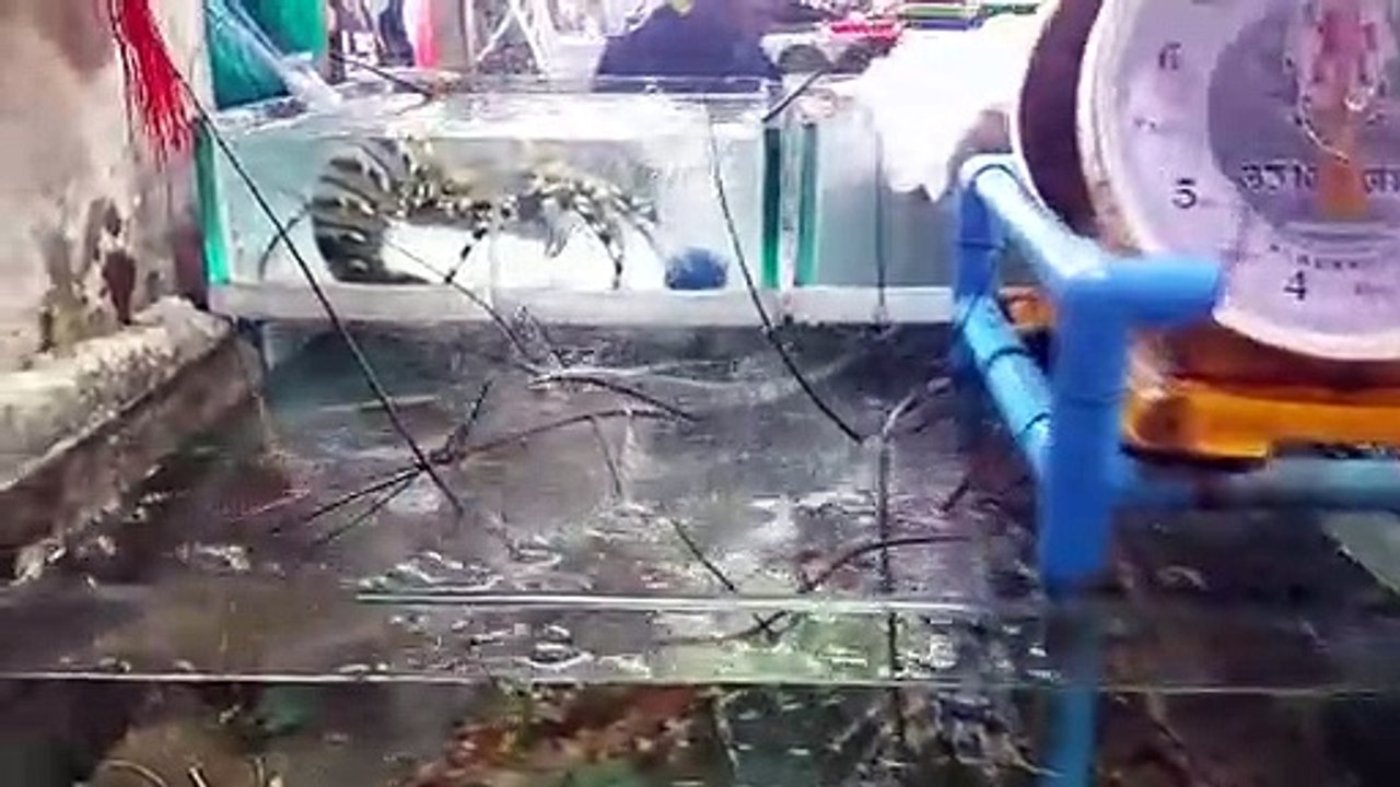 Bu Canlıları Yiyenler Var