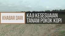 Khabar Dari Pulau Pinang: Kaji kesesuaian tanam pokok kopi
