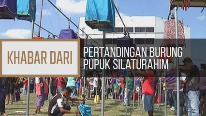 Khabar Dari Kelantan: Pertandingan burung pupuk silaturahim