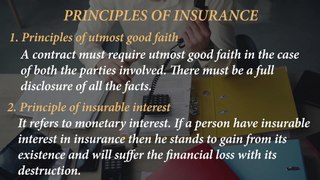 What Is Insurance by FintecStudio | Type Of Insurance | Insurance Explained Random Videos #fintec