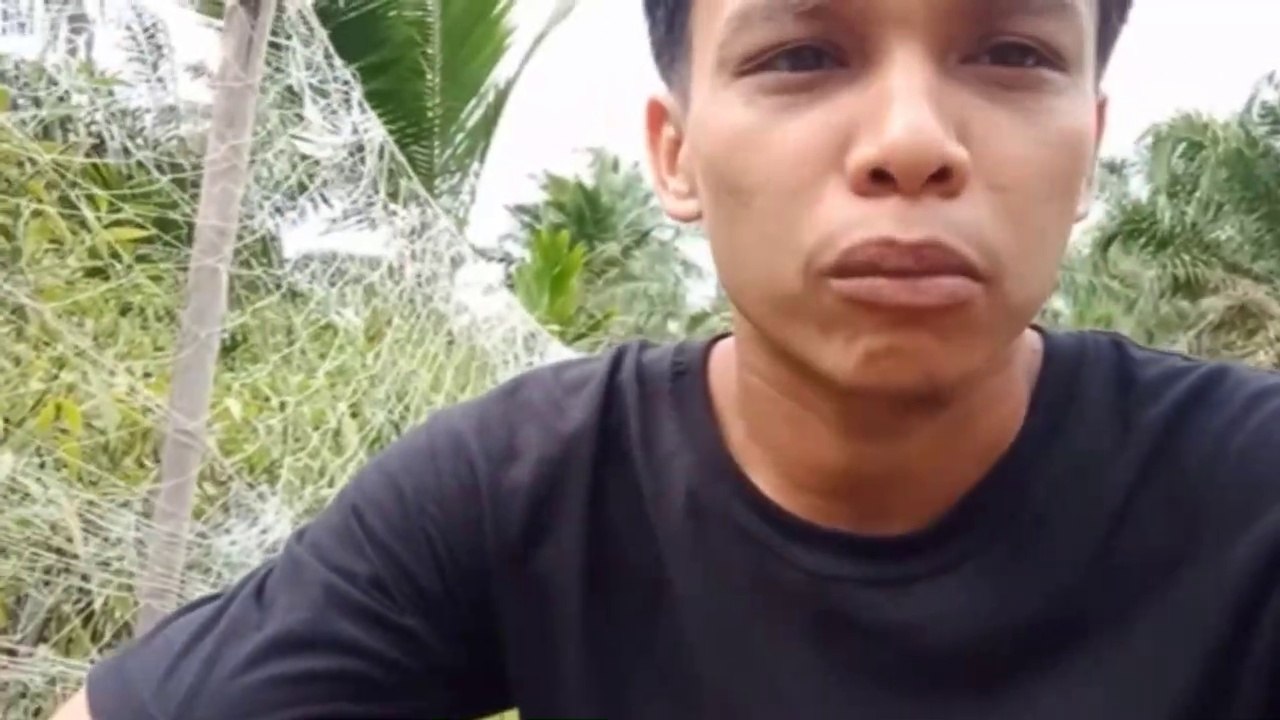 review tanaman cabe