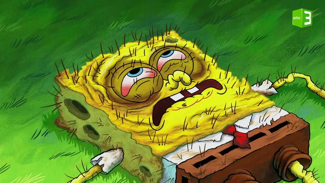 هجوم قناديل البحر على سبونج بوب وبسيط والنتيجة..
