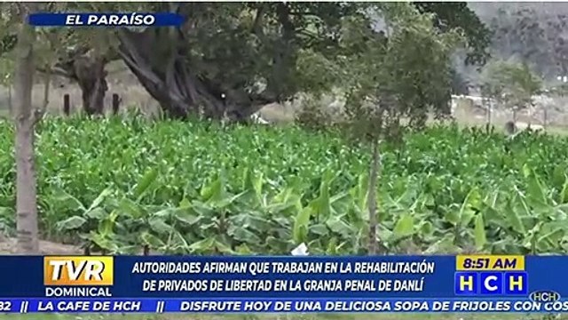 Privados de Libertad de la cárcel de Danlí trabajan en diferentes oficios para rehabilitarse