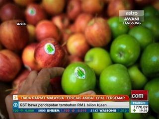 Tiada rakyat malaysia terjejas akibat epal tercemar