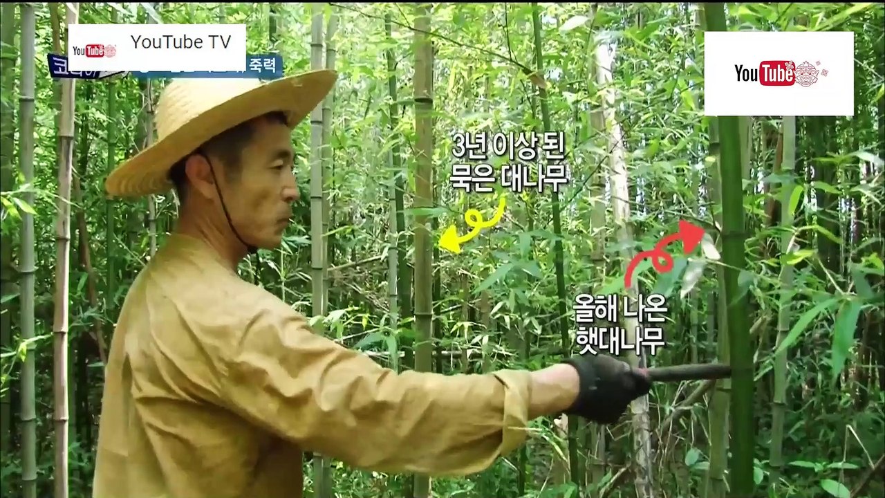 ความลับแห่งเอเชีย ชุด Korea Hunter ตอน ยาจากเปลือกไม้