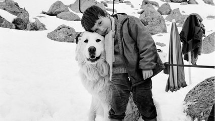 VOICI : Belle et Sébastien : que devient Mehdi El Glaoui, l’enfant star du feuilleton ?