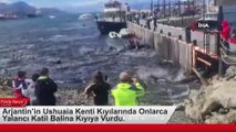 Arjantin’in Ushuaia Kenti Kıyılarında Onlarca Yalancı Katil Balina Kıyıya Vurdu