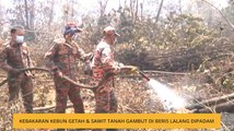 Kebakaran kebun getah & sawit tanah gambut di Beris Lalang dipadam