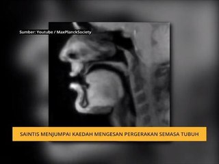 #Bualan 5 Mac: Saintis menjumpai kaedah mengesan pergerakan semasa tubuh