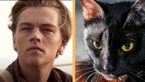 DiCaprio'nun yeni aşkı! İşte Titanik filminin kedili versiyonu